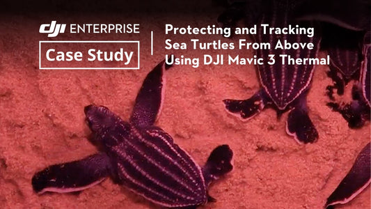 Conserving Sea Turtles Using DJI Mavic 3 Thermal - AeroPH