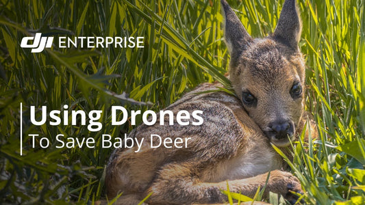 Using Thermal Drones to Rescue Baby Deer